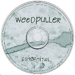 The actual compact disc