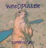 Congenital Cover
